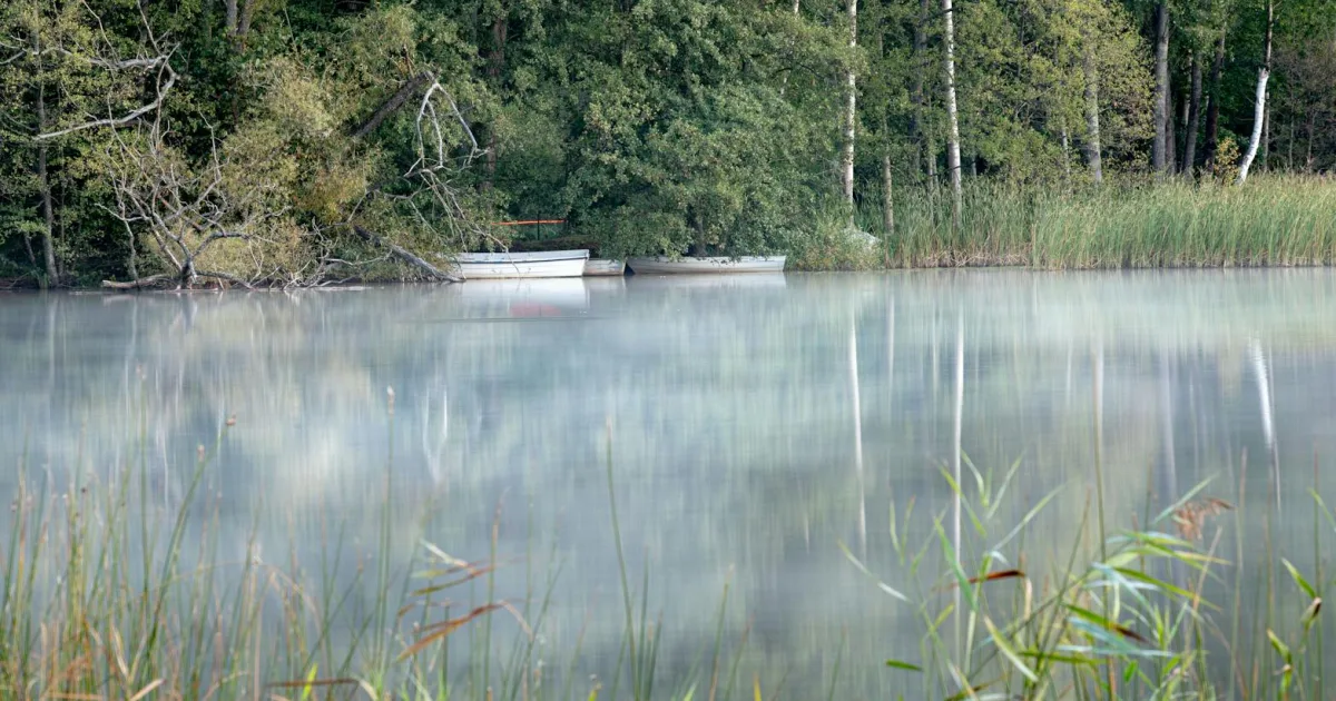 Downtown Lake Purdy, AL, AL