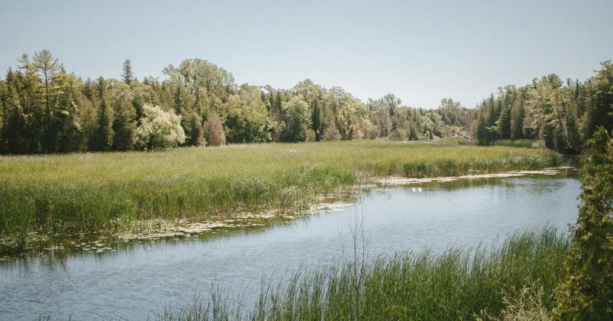 Downtown Lakefield, MI, MI