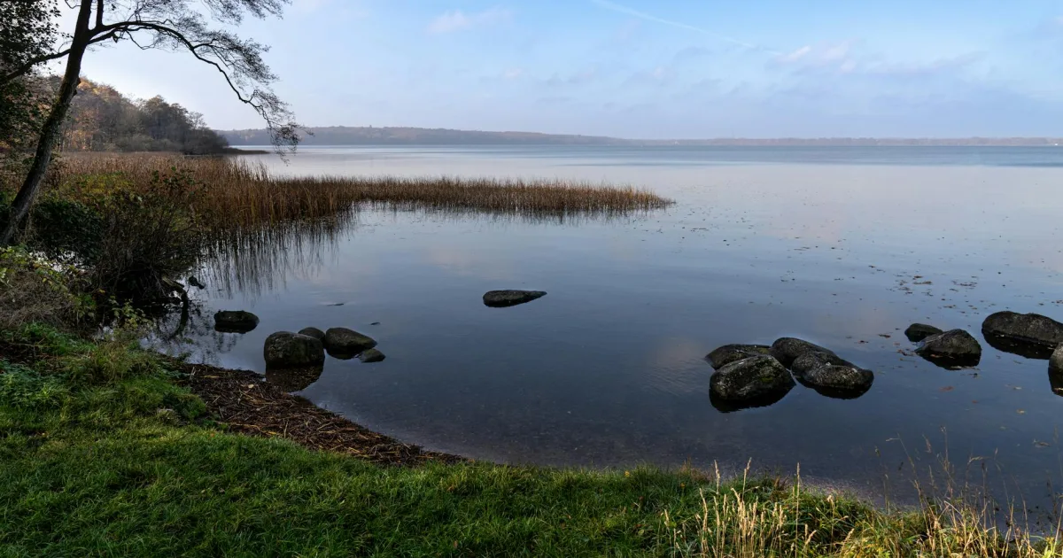 Downtown Lakemoor, IL, IL