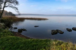 Downtown Lakemoor, IL, IL