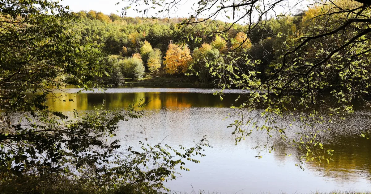 Downtown Lakes of the Four Seasons, IN, IN