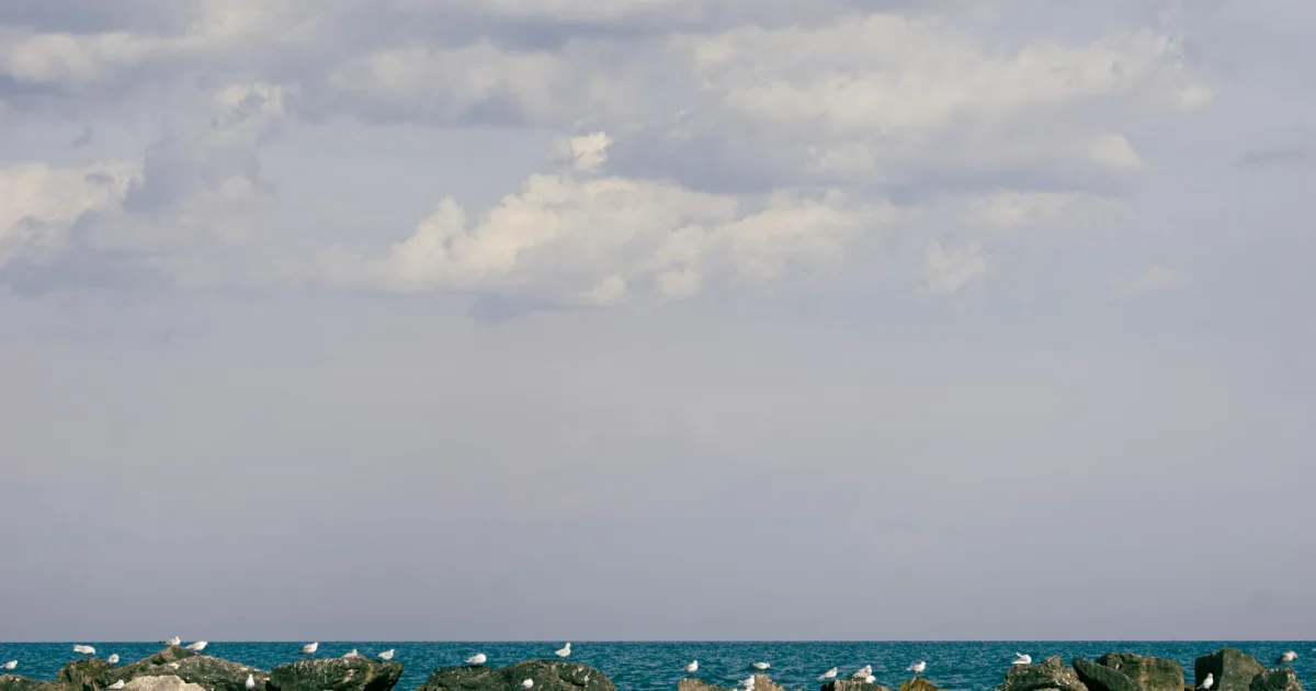 Downtown Lakewood Shores, IL, IL