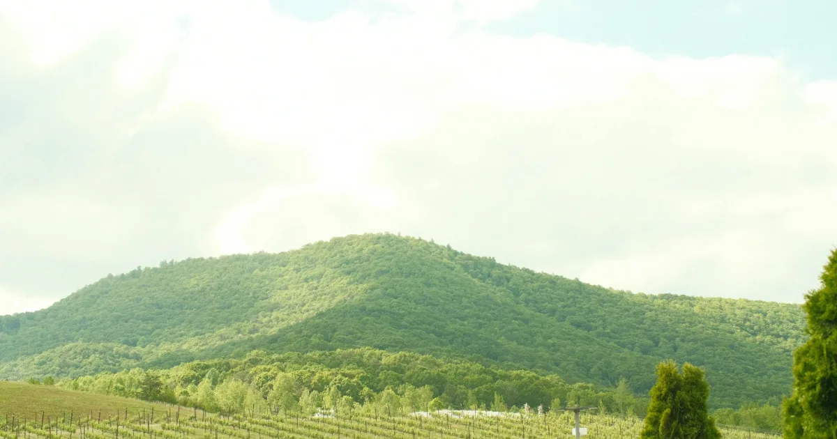 Downtown Laurel Hill, VA, VA