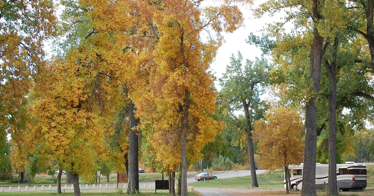 city in Yellowstone County, Montana, United States