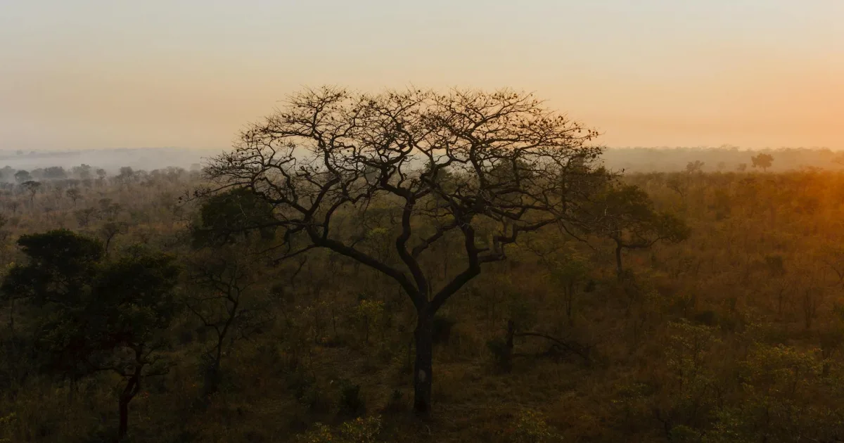 Downtown Leadwood, MO, MO