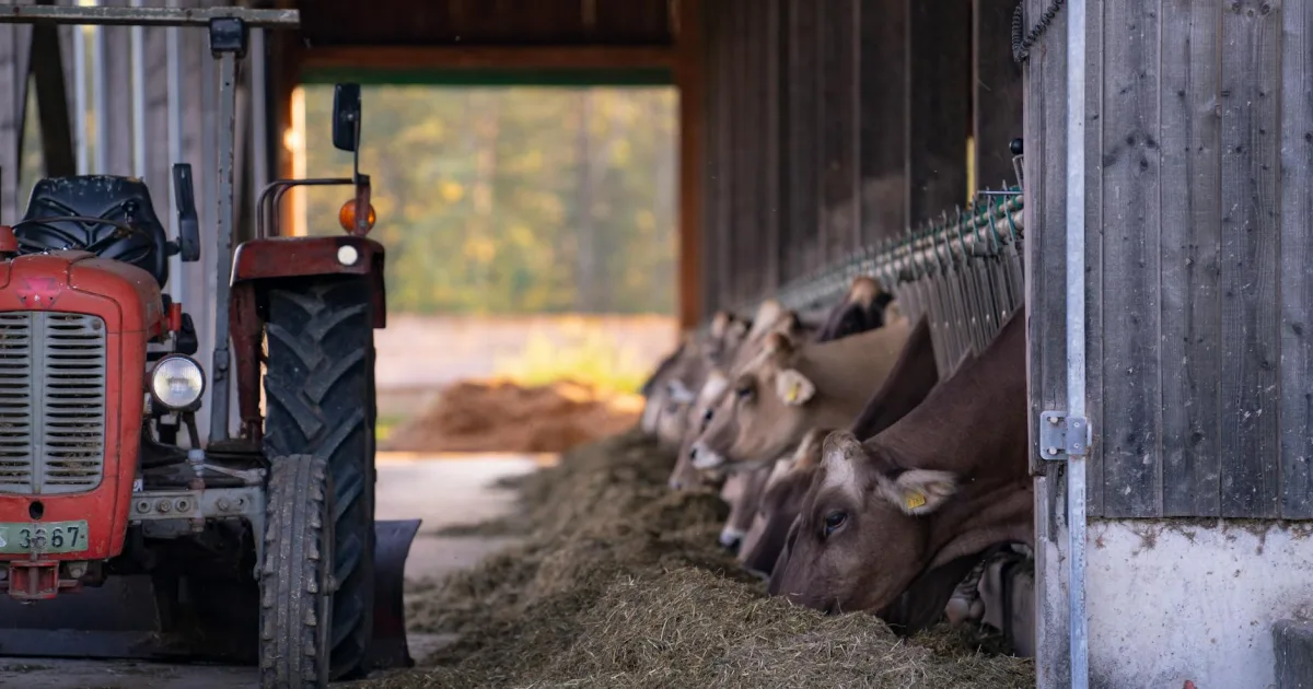 Downtown Lehman, PA, PA