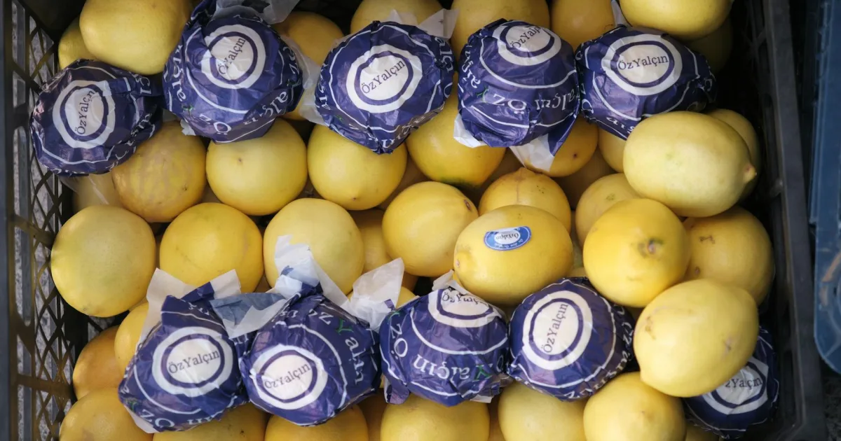 Downtown Lemon, PA, PA