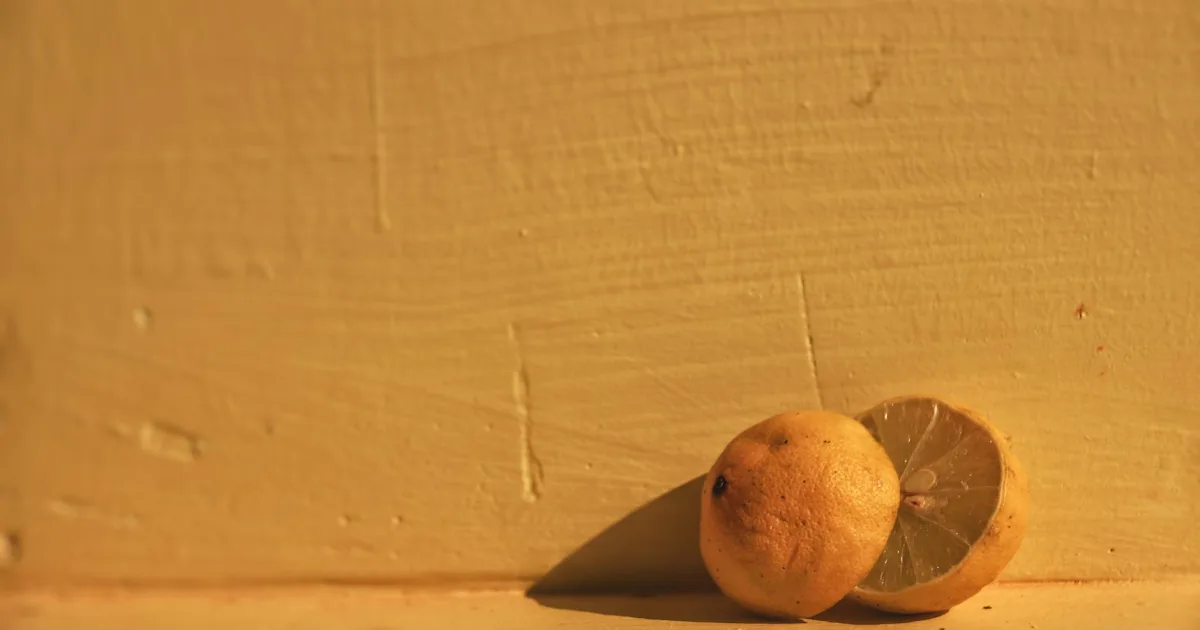 Downtown Lemonweir, WI, WI