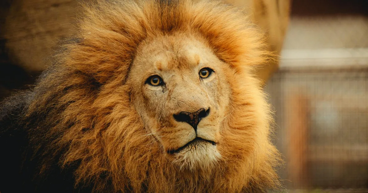 Downtown Leon, WI, WI