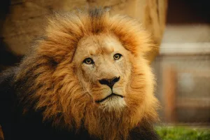 Downtown Leon, WI, WI