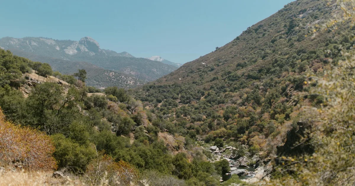 Downtown Leona Valley, CA, CA