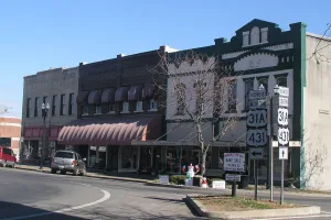city in Marshall County, Tennessee, United States of America