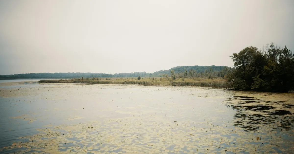 Downtown Lily Lake, IL, IL