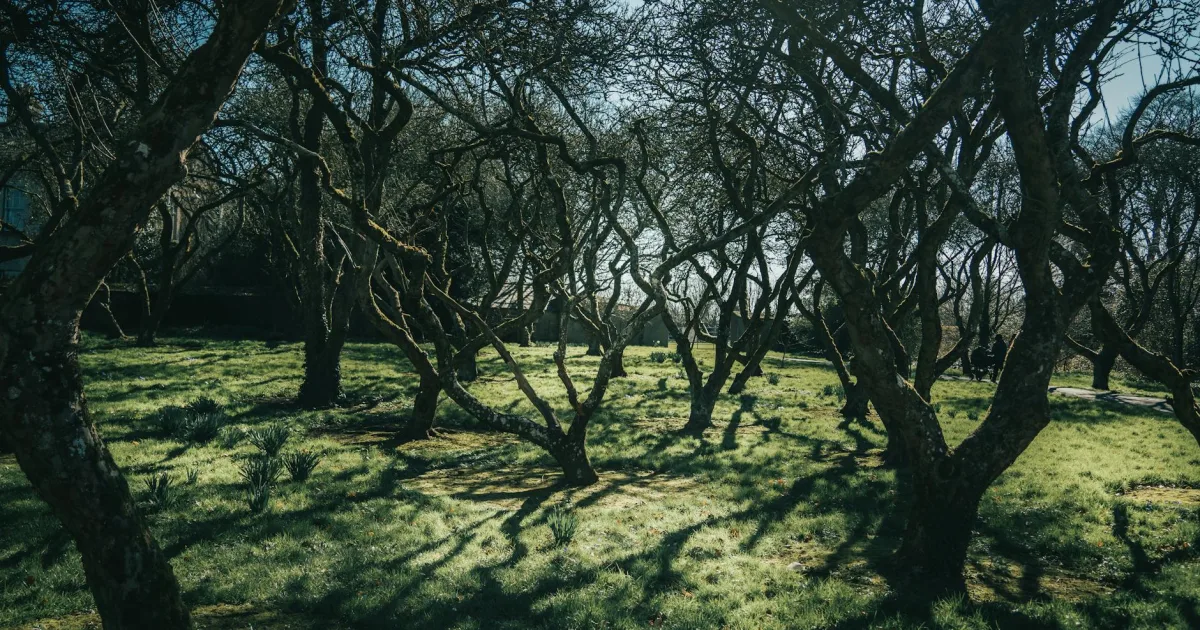 Downtown Linn Grove, IA, IA