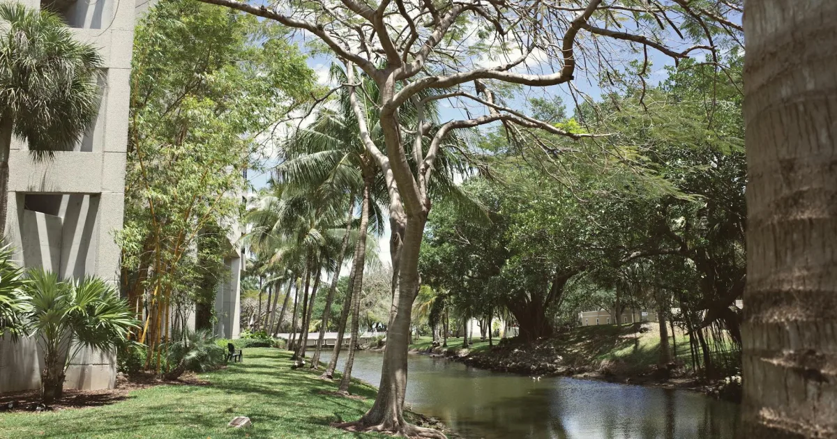 Downtown Lochmoor Waterway Estates, FL, FL