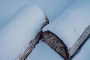 Downtown Logtown, OH, OH