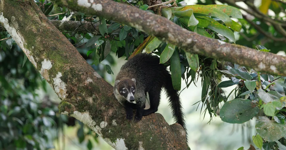 Downtown Loma, CO, CO