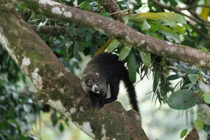Downtown Loma, CO, CO