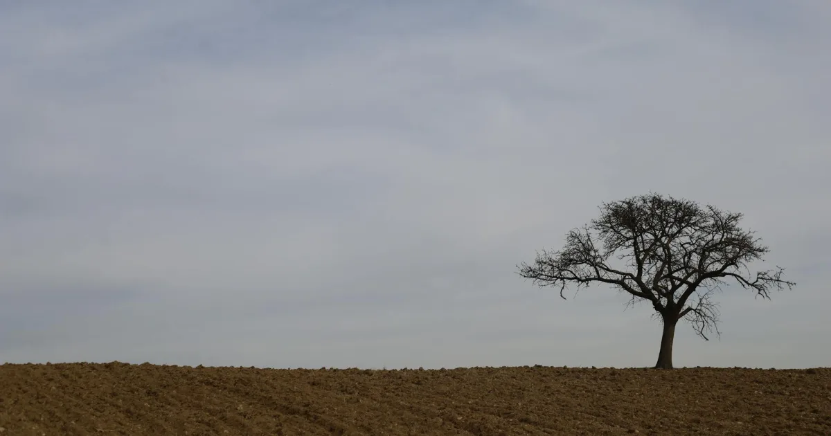 Downtown Lone Grove, OK, OK