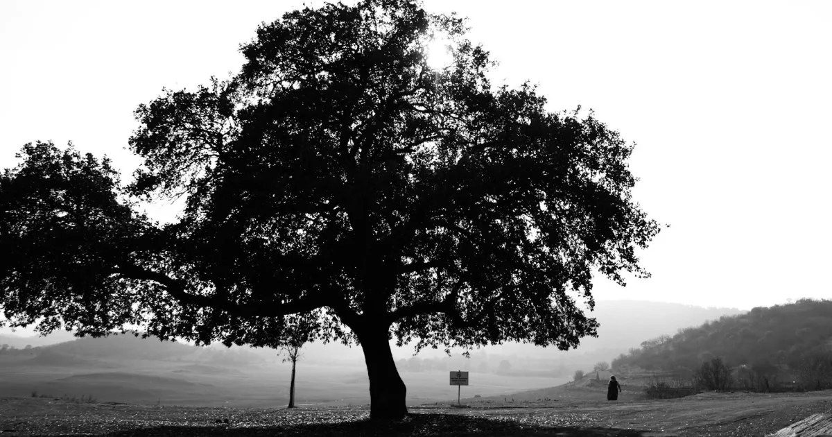 Downtown Lone Oak, TN, TN