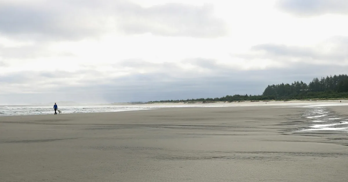 Downtown Long Beach, WA, WA