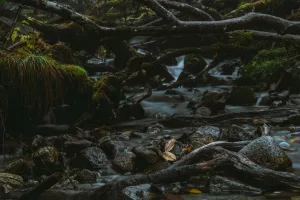Downtown Long Creek, OR, OR