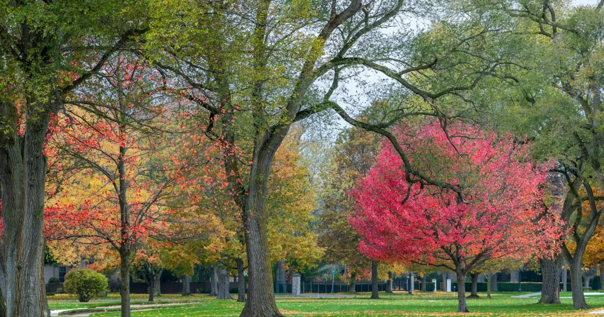 Downtown Long Grove, IL, IL