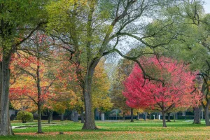 Downtown Long Grove, IL, IL