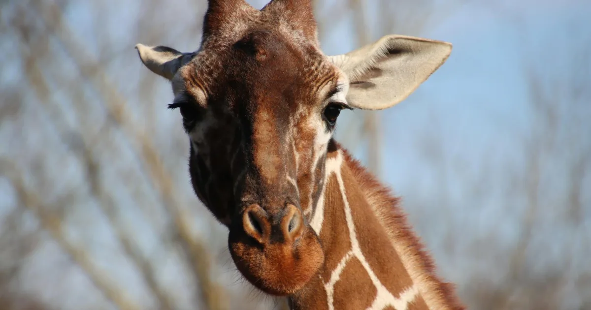 Downtown Long Neck, DE, DE