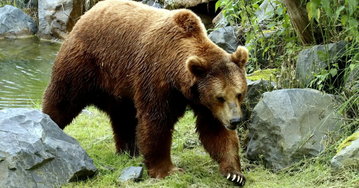 Downtown Los Osos, CA, CA