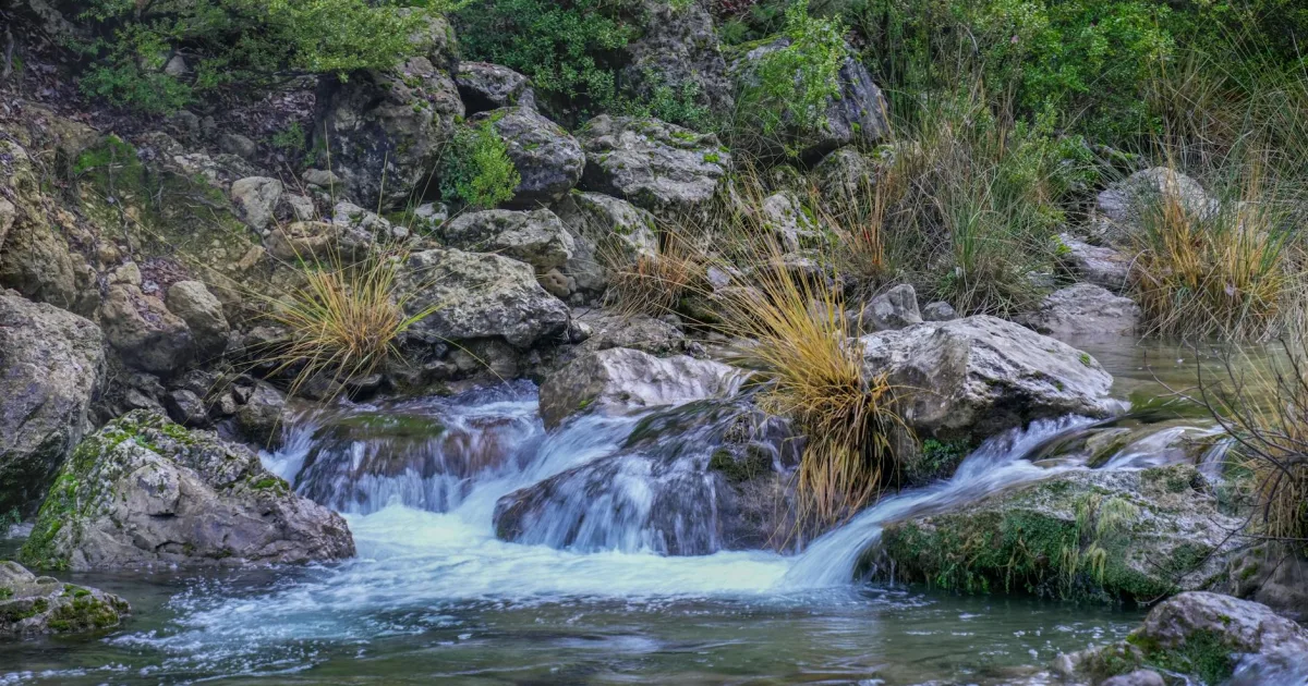 Downtown Lost Creek, TX, TX