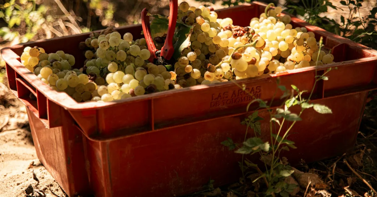 Downtown Macon, IL, IL