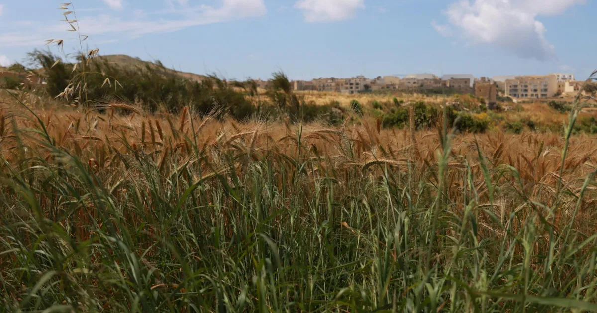 Downtown Malta, OH, OH