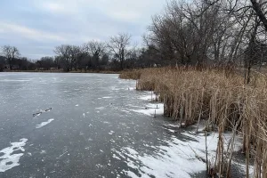 city in Ramsey County, Minnesota, United States