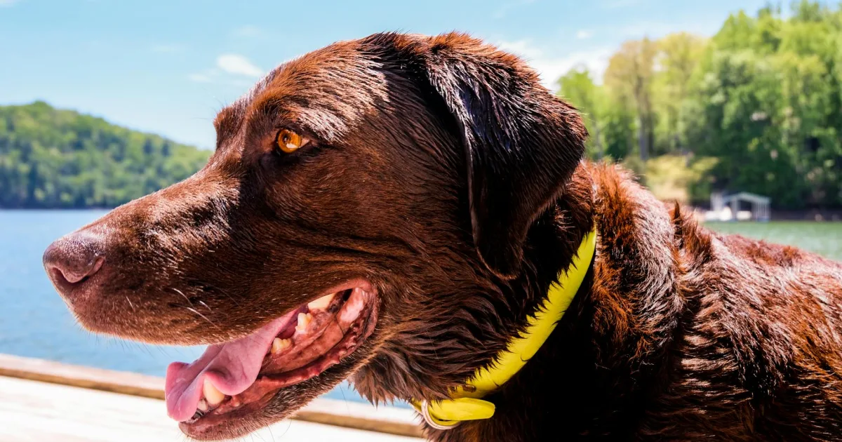 Downtown Mar-Mac, NC, NC