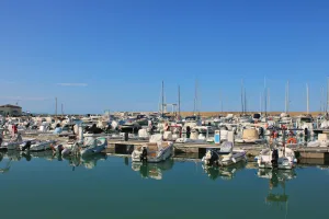 Downtown Marine, IL, IL