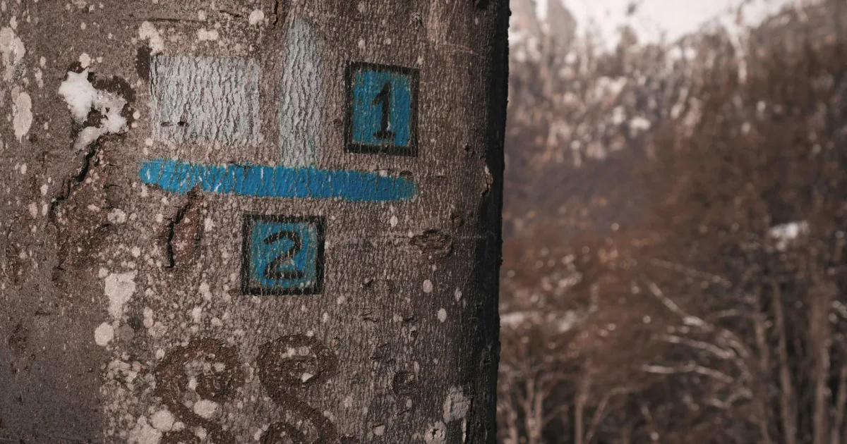 Downtown Marked Tree, AR, AR