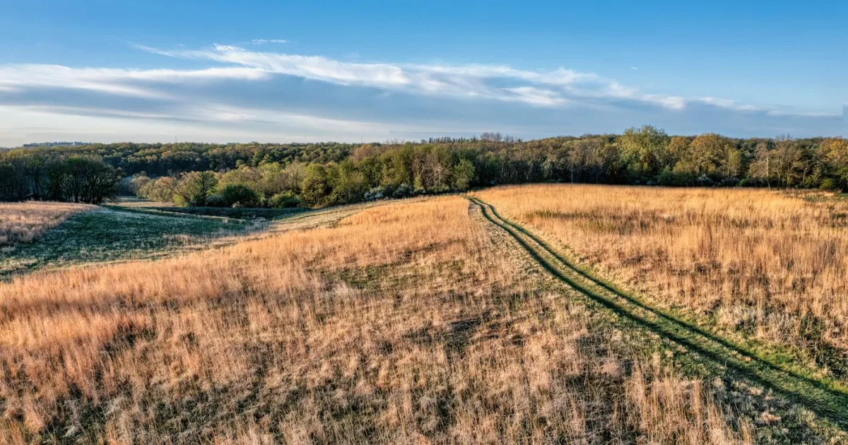 Downtown Marlboro Meadows, MD, MD
