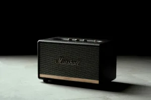 Downtown Marshall, MI, MI