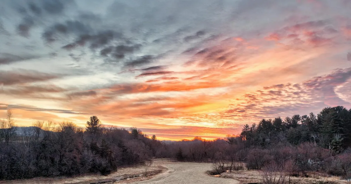 Downtown Marshfield, VT, VT