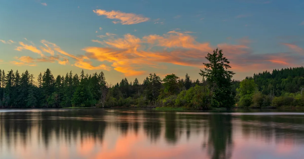 Downtown Martha Lake, WA, WA