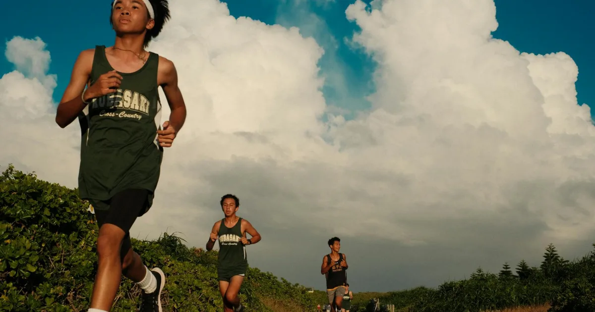 Downtown McFarland, WI, WI