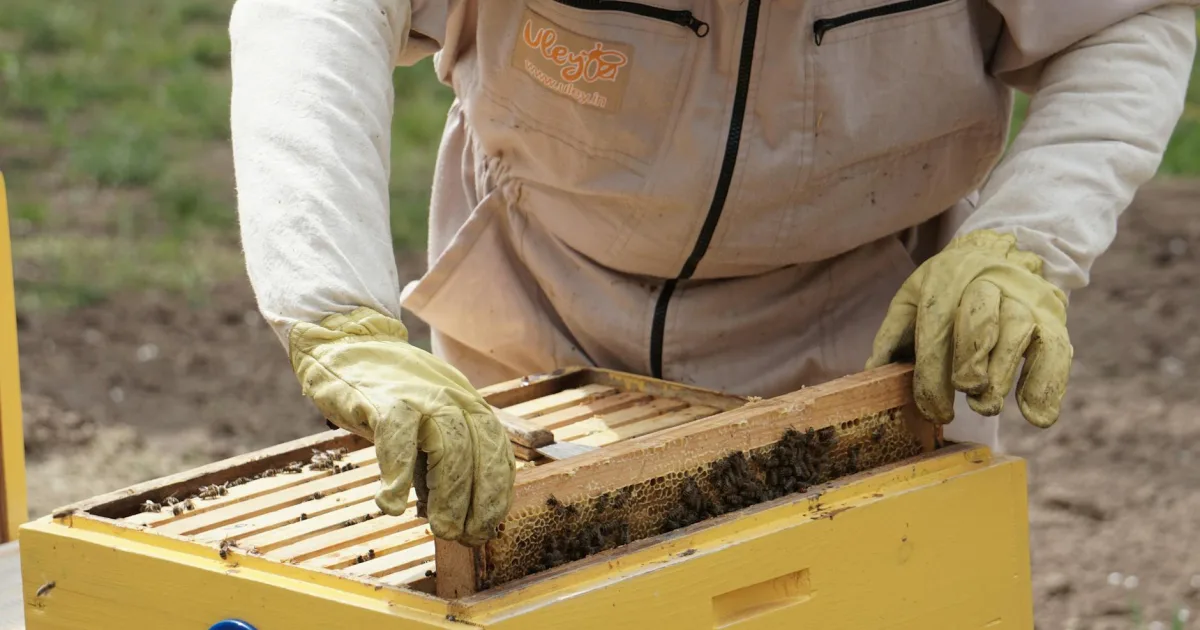 Downtown Mead, WA, WA