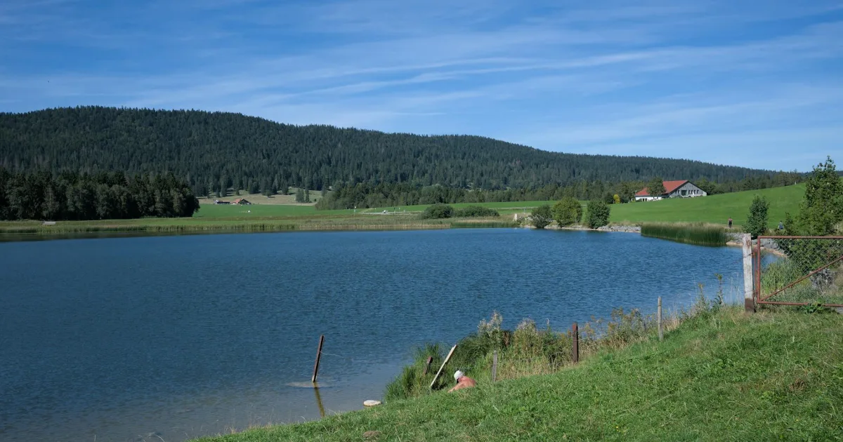 Downtown Meadow Lake, NM, NM