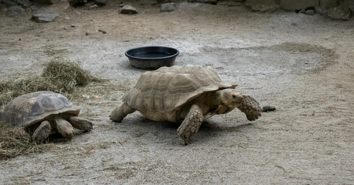 Downtown Mendon, VT, VT