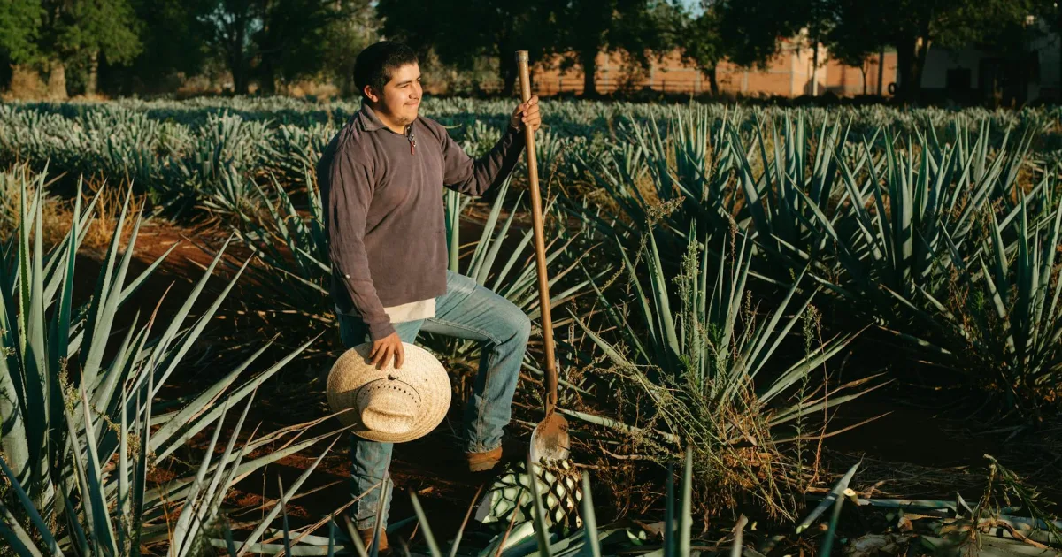 Downtown Mescal, AZ, AZ