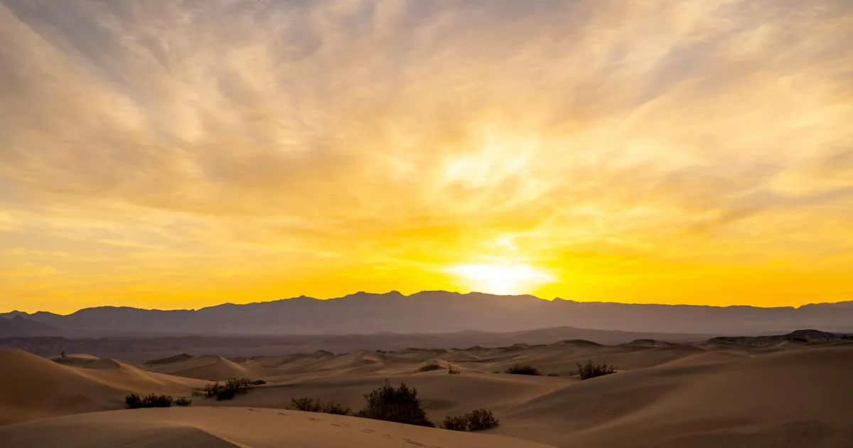 Downtown Mesquite, NM, NM