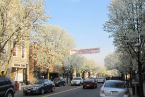 Downtown Metuchen, NJ, NJ