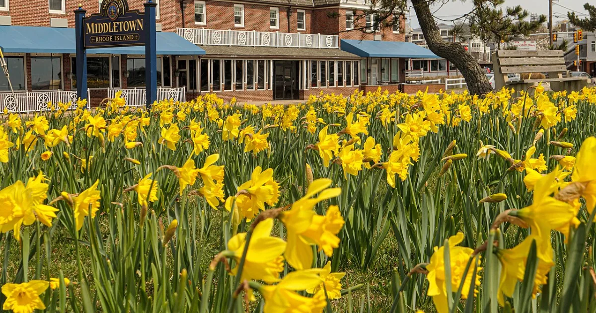 town in Newport County, Rhode Island, United States