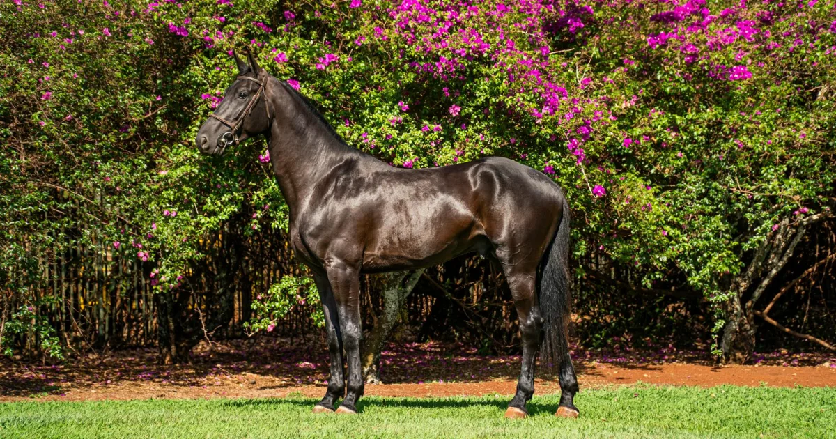 Downtown Millwood, OH, OH